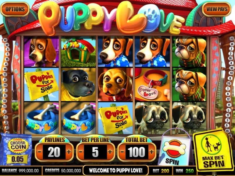 EUR 405 free chip casino at Big Cash Casino