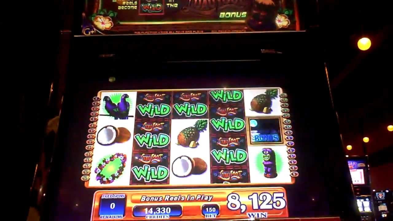 €540 Daily freeroll slot tournament at Casino Cruise