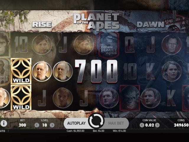 245 free casino spins at Mummys Gold Casino