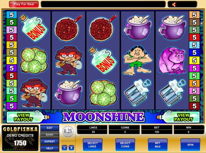 40 FREE SPINS at Casino Cruise