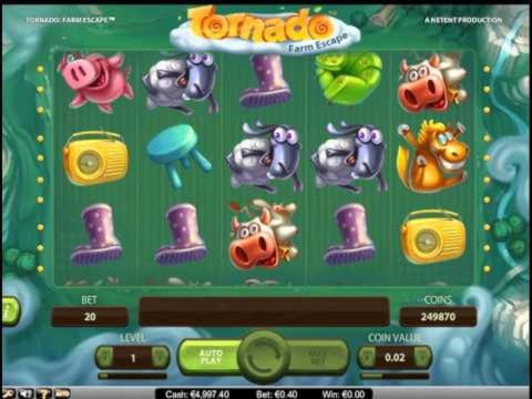 EURO 875 Daily freeroll slot tournament at Betwinner Casino