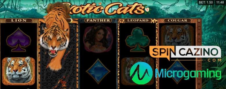 100 free spins no deposit casino at Gaming Club Casino