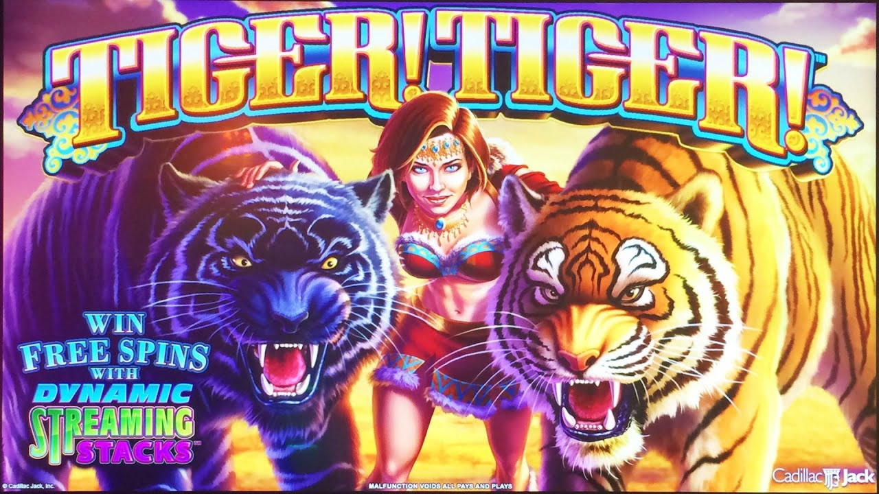 EURO 4470 No Deposit Casino Bonus at Leo Vegas Casino