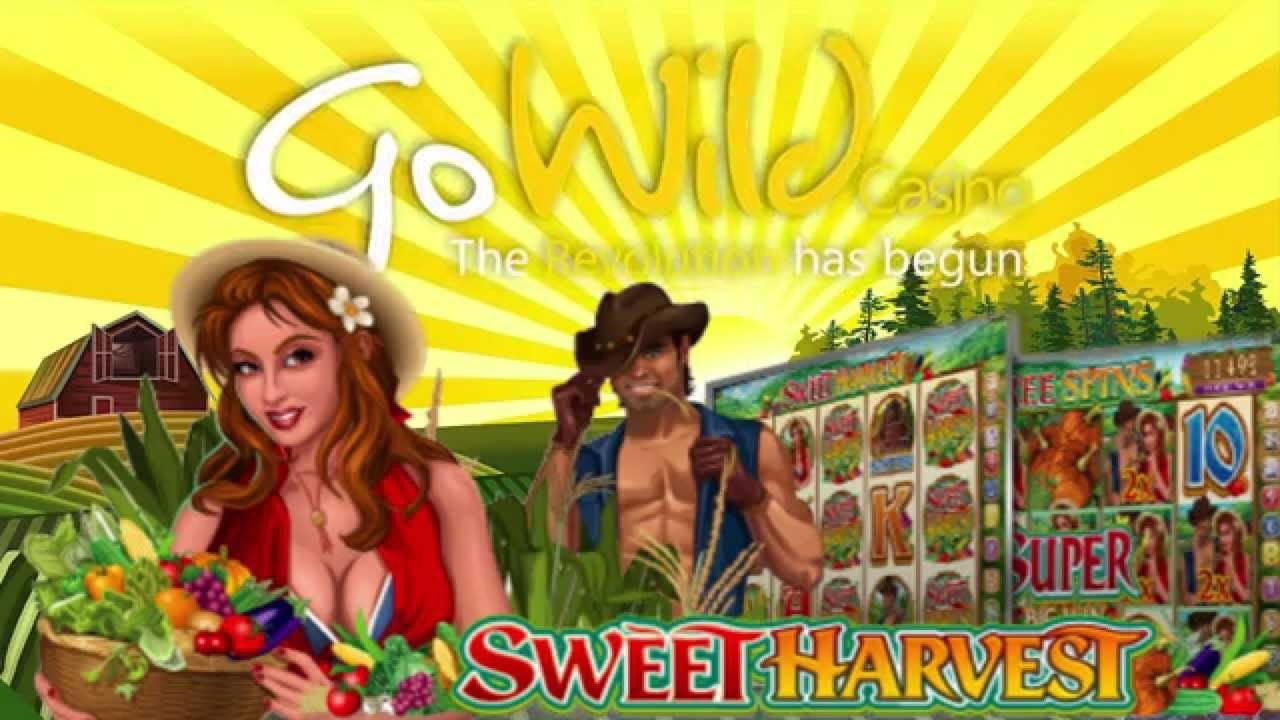 450% Welcome Bonus at Spin Palace Casino