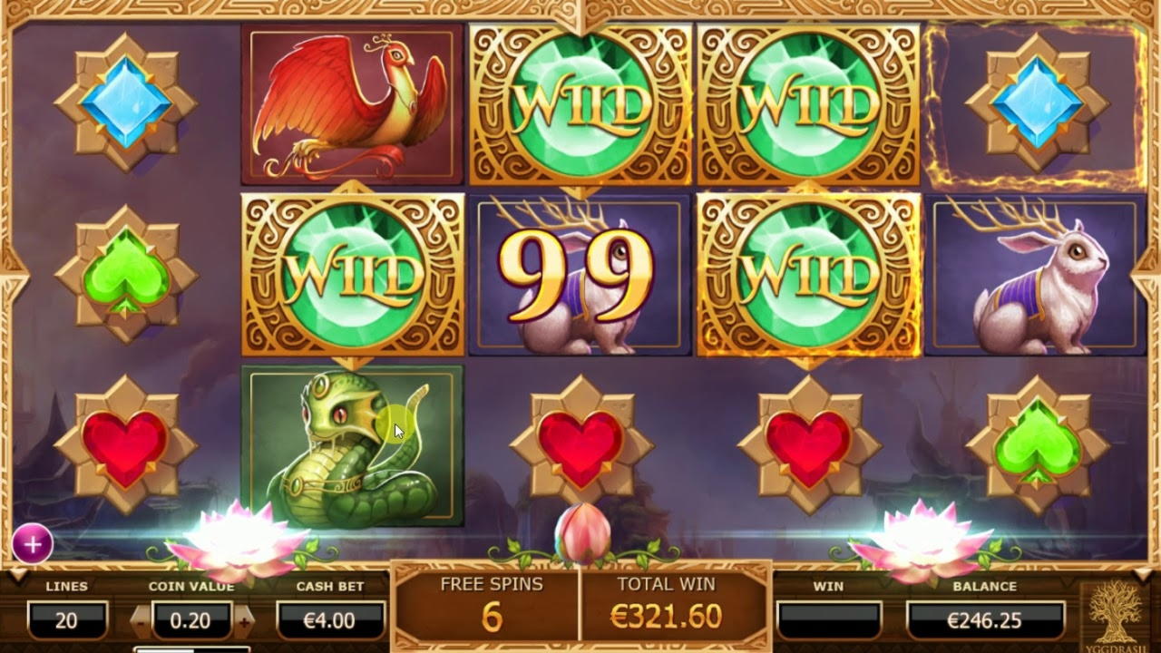 €775 Daily freeroll slot tournament at Casino Cruise