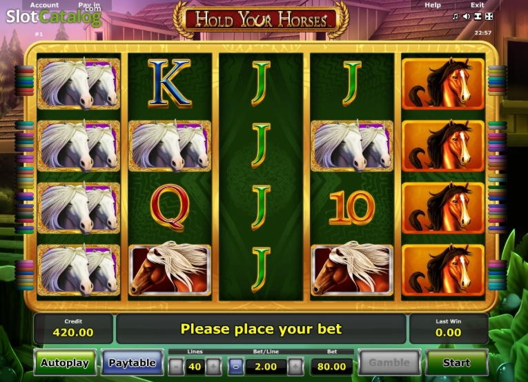 EURO 330 Free Casino Ticket at Joy Casino