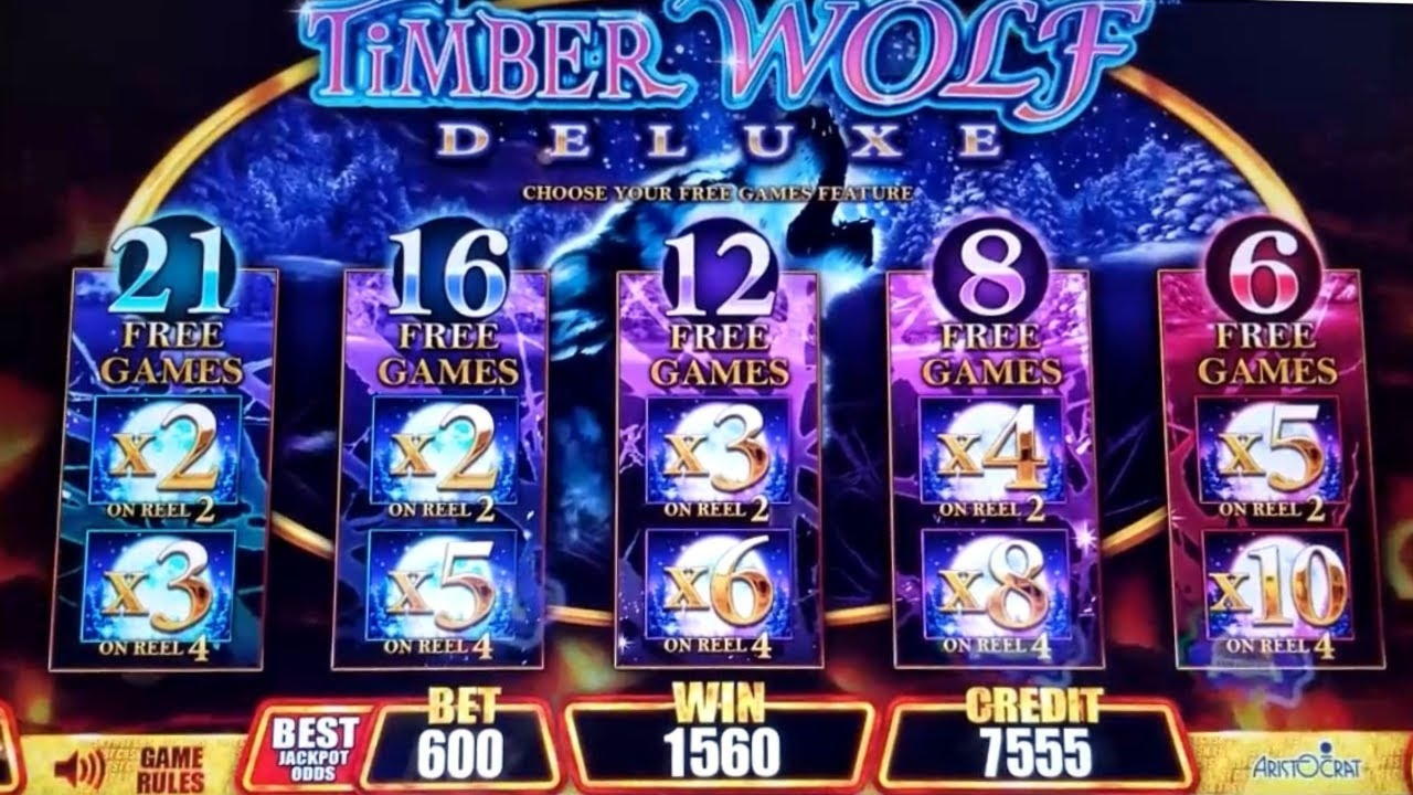 EUR 960 Casino tournaments freeroll at Mummys Gold Casino