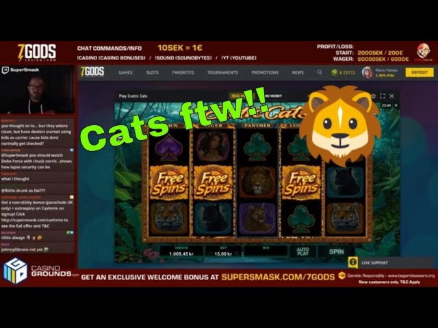 165 free casino spins at Casino Cruise