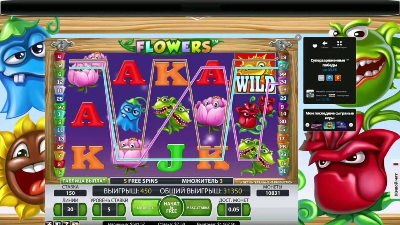 225 Free Spins at Betwinner Casino